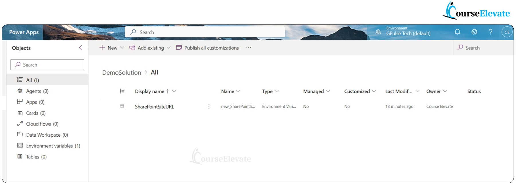 Environment variable listed inside Power Apps solution