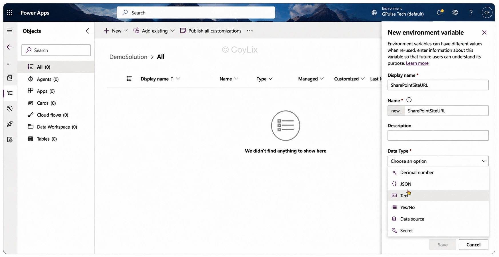Choosing environment variable data type in Power Apps by CoyLix